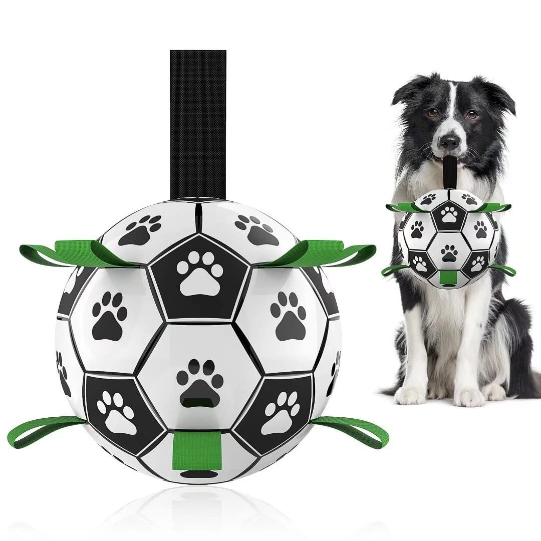 Pets & Cars Accessories