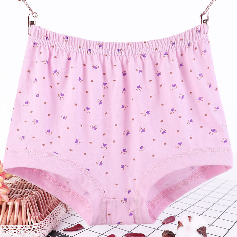 Women's print pink plus size briefs