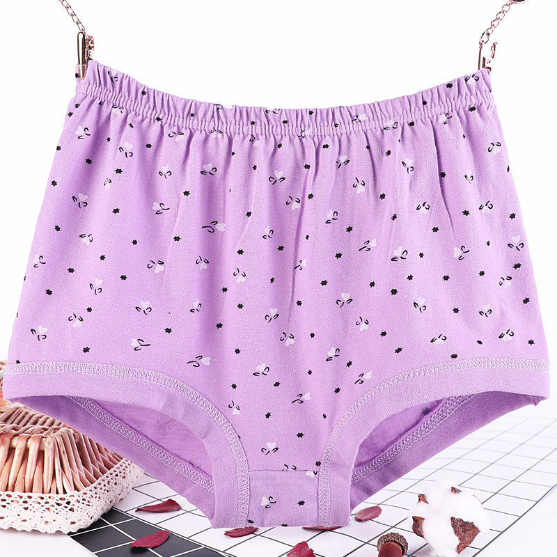 Women's print purple plus size briefs