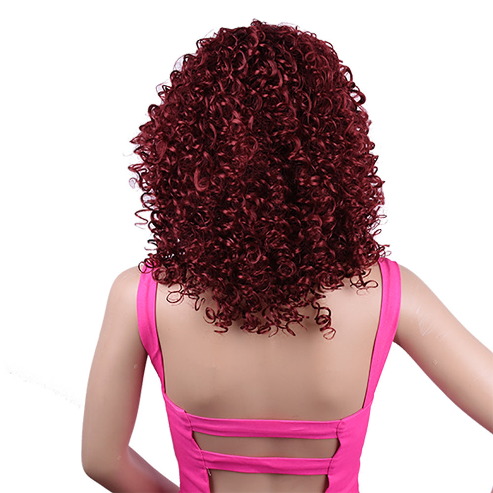 Alternate view: Women's afro curly wig