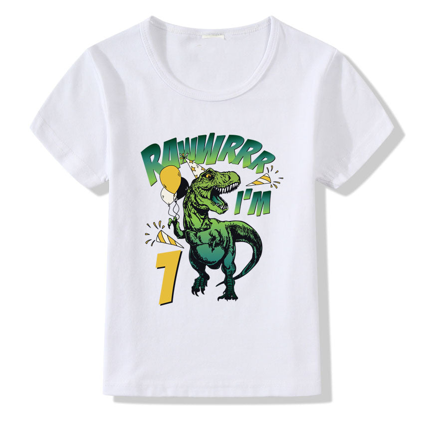 Boys children's t-shirt numbers 1-9 birthday t-shirt